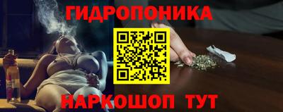 дживик Кандалакша